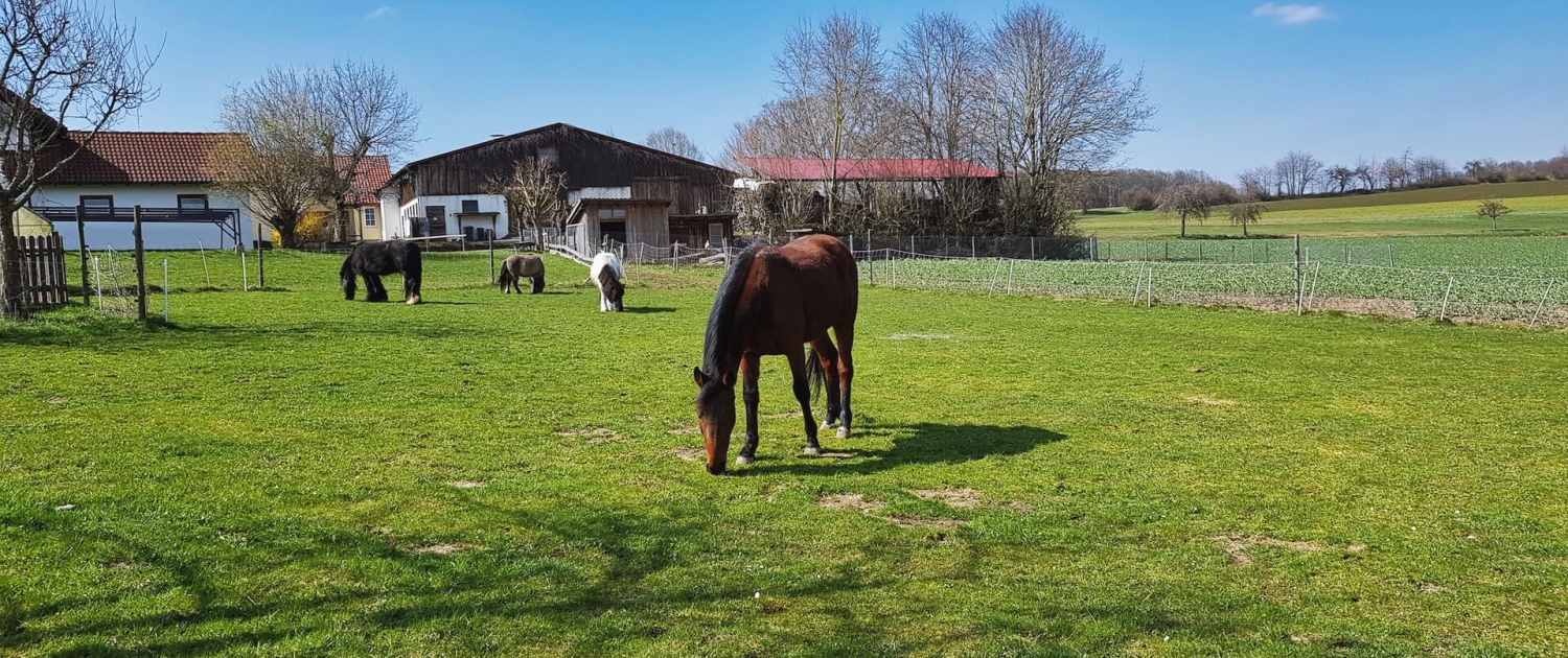 Urlaub auf dem Bauernhof in Bayern